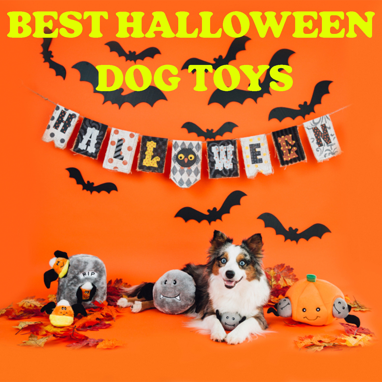 https://livetrejoi.com/wp-content/uploads/2023/09/The-Best-Halloween-Dog-Toys-That-Will-Make-your-Pup-Howl-with-Delight.jpg