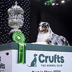 10 Interesting Facts About Crufts: The World’s Greatest Dog Show